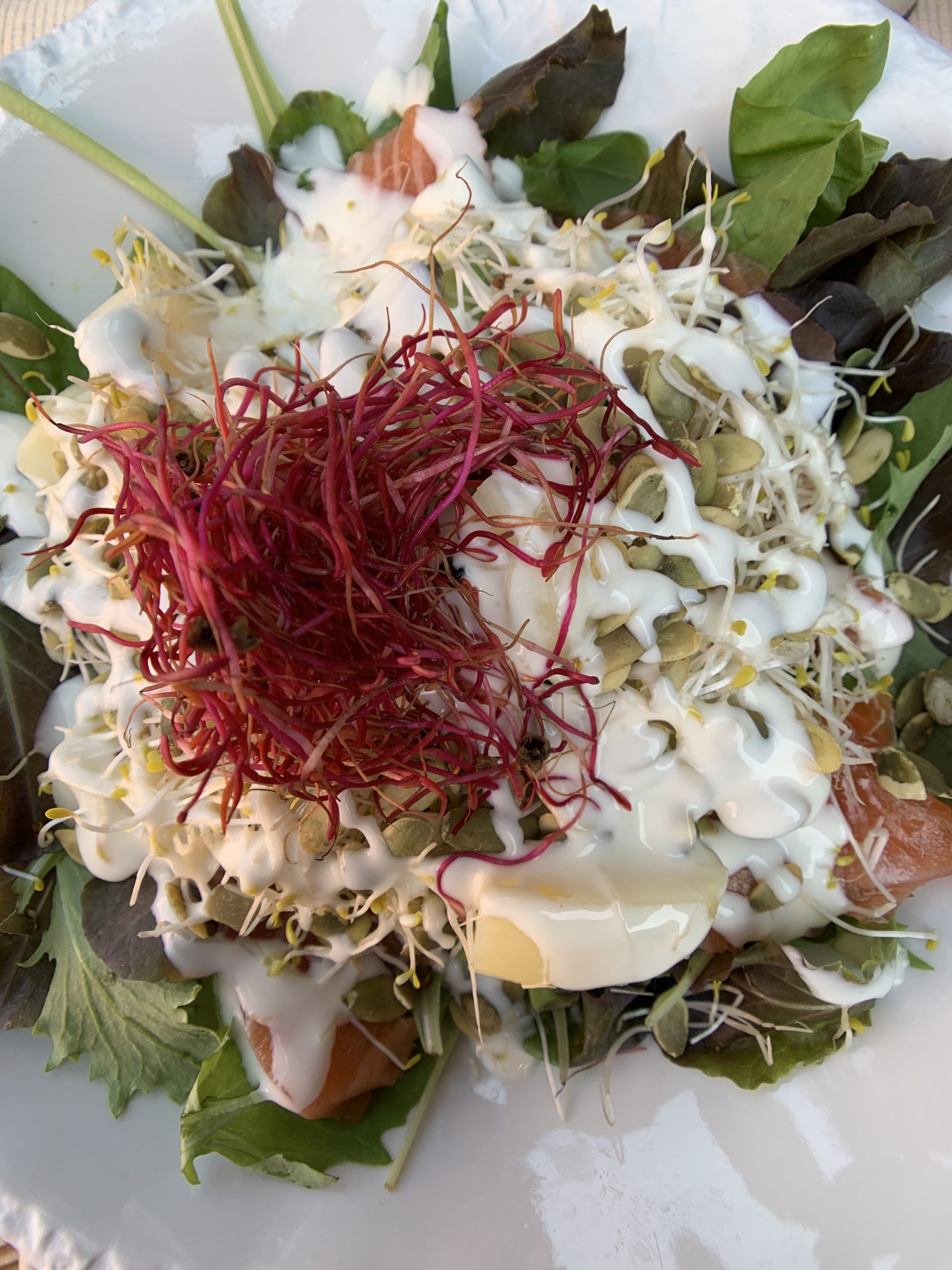 Fresh Salad at Marghe Restaurant, Sirmione, Lake Garda Italy