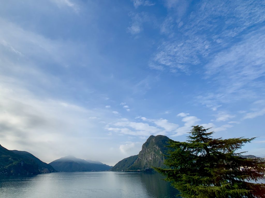 Near the Olive Trees along the North side of Lake Lugano, Switzerland